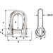 Wichard Captive Pin D Shackle - Diameter 8mm - 5/16" [01404]-North Shore Sailing
